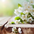 Spring season flowering plant branches with wooden table stand, floral background - AI generated image Royalty Free Stock Photo