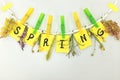 Spring season is here hanging wall decoration. Flowers and bright yellow colored paper cutouts clipped on a lace.