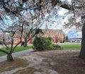 Spring Season At Lincoln University
