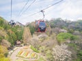 Spring season at Nunobiki herb garden Shin-Kobe ropeway