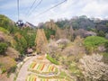 Spring season at Nunobiki herb garden Shin-Kobe ropeway