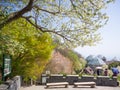 Spring season at Nunobiki herb garden Shin-Kobe ropeway