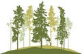 Spring season, silhouette of spruce trees, pines. Beautiful nature, woodland. Vector illustration Royalty Free Stock Photo