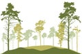 Spring season, silhouette of spruce trees, pines. Beautiful nature, woodland. Vector illustration Royalty Free Stock Photo