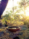 Earthern pot of water for thirsty bird. Royalty Free Stock Photo