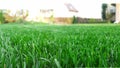 Spring season sunny lawn mowing in the garden. Lawn blur with soft light for background Royalty Free Stock Photo