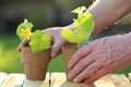 Spring seedlings. Cucumber seedlings in peat pots in male hands on a wooden table in a sunny garden.Seedling cucumbers Royalty Free Stock Photo