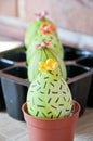 Spring seedlings. Greenhouse. Cactus blossom. 