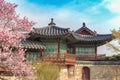 Spring in Seoul South Korea Royalty Free Stock Photo