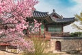 Spring in Seoul South Korea Royalty Free Stock Photo