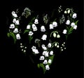 Hand-drawn set with flowers of the Lily of the valley, primrose. realistic Doodle isolated on black background. Botanical elements Royalty Free Stock Photo
