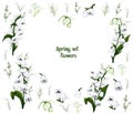 Hand-drawn set with flowers of the Lily of the valley, primrose. realistic Doodle isolated on white background. Botanical elements Royalty Free Stock Photo