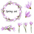 Spring set of floral patterns, ornaments and vector wreaths of delicate pink flowers to decorate cards and greetings Royalty Free Stock Photo