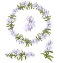 Spring set of floral patterns, ornaments and vector wreaths of delicate violet flowers to decorate cards, design greetings Royalty Free Stock Photo
