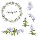 Spring set of floral patterns, ornaments and vector wreaths of delicate violet flowers to decorate cards, design greetings Royalty Free Stock Photo