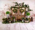 Spring sett up with green plans and vintage wood parquet Royalty Free Stock Photo