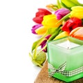 Spring setting with colorful tulips Royalty Free Stock Photo