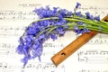 Spring Sheet Music And Bluebell Flowers