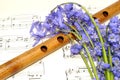 Spring Sheet Music And Bluebell Flowers