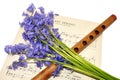 Spring Sheet Music And Bluebell Flowers