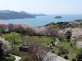Spring at Shiranui sea Royalty Free Stock Photo