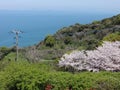 Spring at Shiranui sea Royalty Free Stock Photo