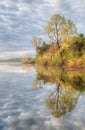 Spring Shoreline