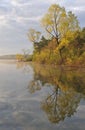 Spring Shoreline