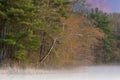 Spring Shoreline at Dawn Hall Lake in Fog Royalty Free Stock Photo