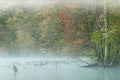 Spring Shoreline Hall Lake with Dogwoods Royalty Free Stock Photo