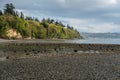 Spring Shoreline Landscape