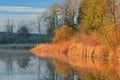 Spring Shoreline Whitford Lake