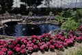 The spring show room, filled with pansies, hydrangeas, larkspur, ferns, trees, a pond and wood bridge