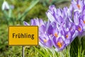 Colorful Spring Sign in German Royalty Free Stock Photo
