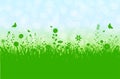 Spring silhouette illustration with abstract grass, flowers and