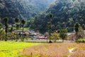 Spring on, the simple houses, blooming peach flowers trees, rock plateau where Ha Giang, Vietnam northernmost country. Royalty Free Stock Photo