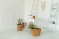 Spring skandi decor in interior design of white kitchen. Provence Royalty Free Stock Photo
