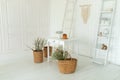 Spring skandi decor in interior design of white kitchen. Stylish easter home decor - wicker basket with branches willow Royalty Free Stock Photo