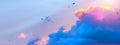 Abstract spring sky background; flight birds in pink clouds Royalty Free Stock Photo