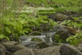 Spring small river Olesnice near Zlate Hory town Royalty Free Stock Photo