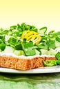 Spring snacks - light open faced sandwiches