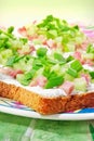 Spring snacks - light open faced sandwiches