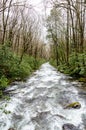 Spring Torrent in the Great Smokey Mountains Royalty Free Stock Photo