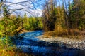 Snoqualmie River running through forest in spring