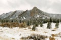 Spring Snow Storm in Chautauqua Park Royalty Free Stock Photo