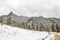 Spring Snow Storm in Chautauqua Park Royalty Free Stock Photo