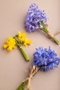 Spring snowdrop flowers bluebells, narcissus on beige pastel background. side view, close up Royalty Free Stock Photo