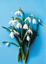 spring, spring snowdrops, happy spring day, for international women s day, on a blue plain background, isolated