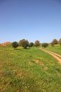 Spring in southern areas of Israel. Fields and meadows