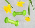 Spring sports background with dumbbells and flowers levitation.